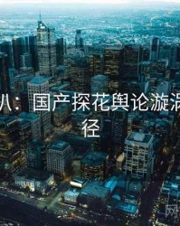 独家深扒：国产探花舆论漩涡传播路径