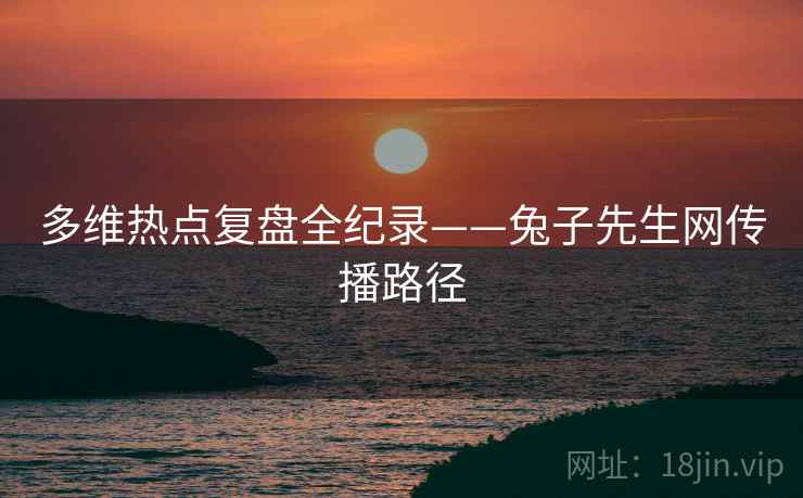 多维热点复盘全纪录——兔子先生网传播路径