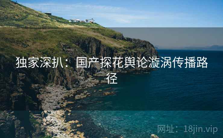 独家深扒：国产探花舆论漩涡传播路径