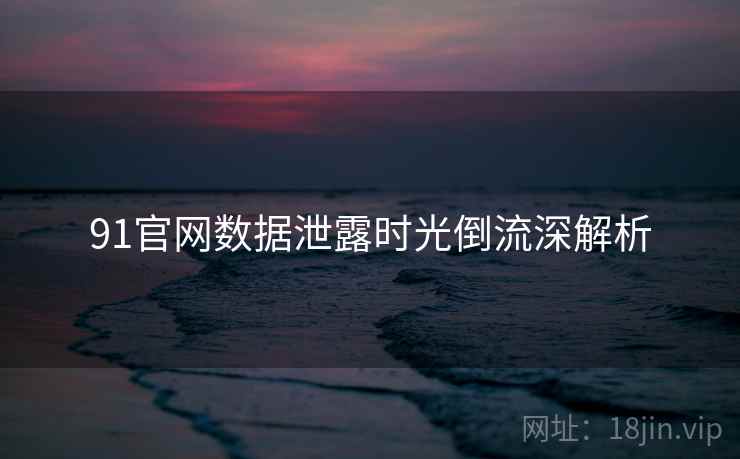 91官网数据泄露时光倒流深解析