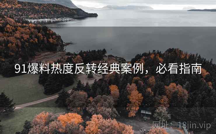91爆料热度反转经典案例，必看指南