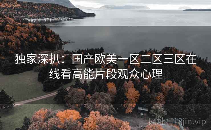 独家深扒：国产欧美一区二区三区在线看高能片段观众心理