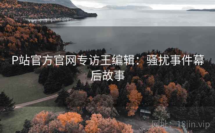 P站官方官网专访王编辑：骚扰事件幕后故事