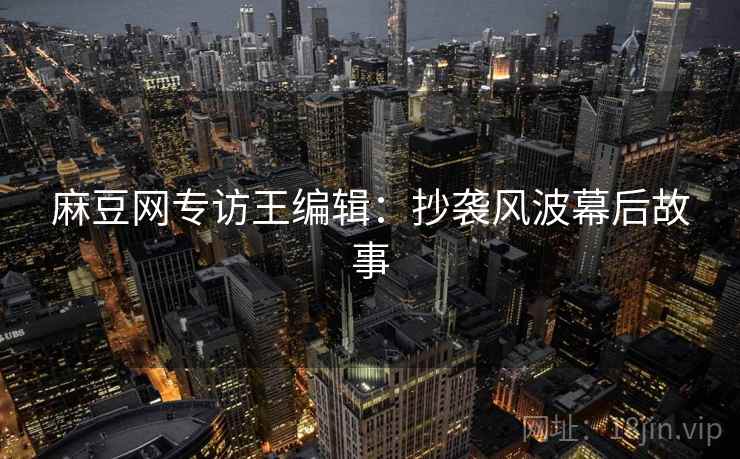 麻豆网专访王编辑：抄袭风波幕后故事