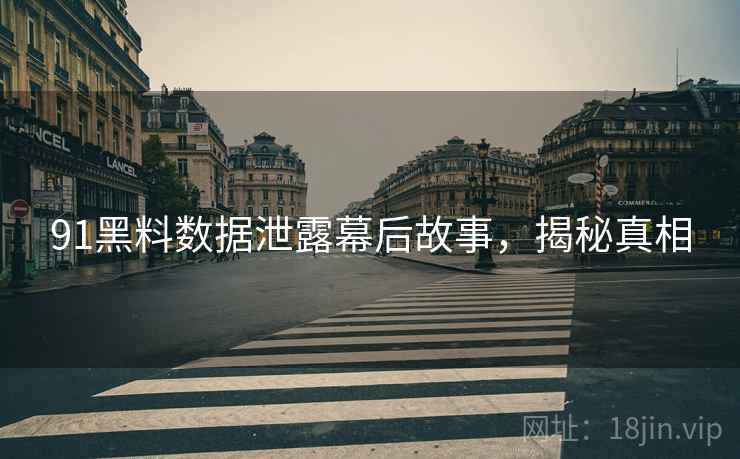 91黑料数据泄露幕后故事，揭秘真相