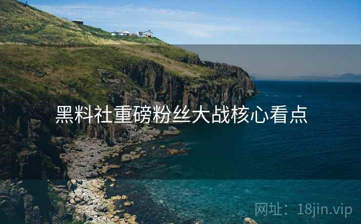 黑料社重磅粉丝大战核心看点