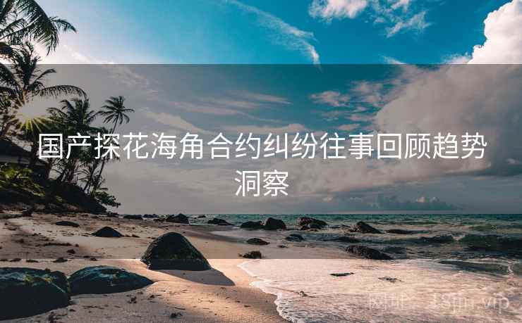 国产探花海角合约纠纷往事回顾趋势洞察
